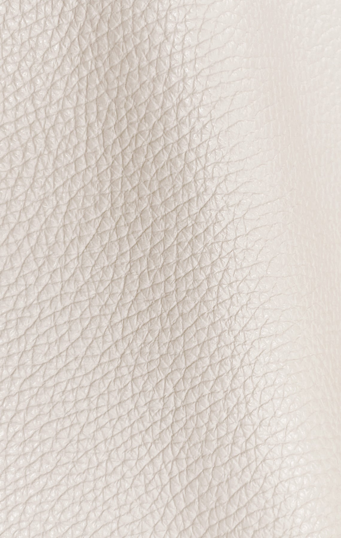 Premium Leather