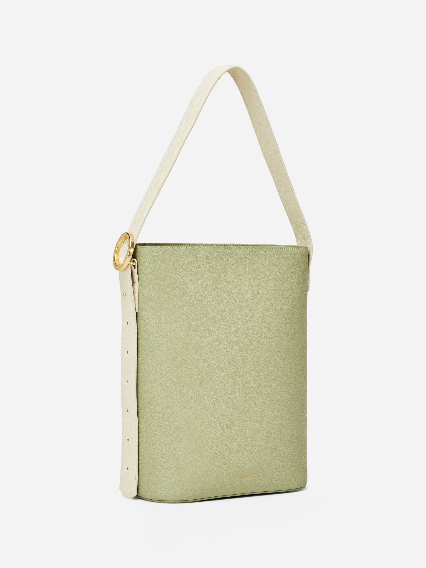 Allured Tote Bag in Matcha Eggnog | Parisa Wang