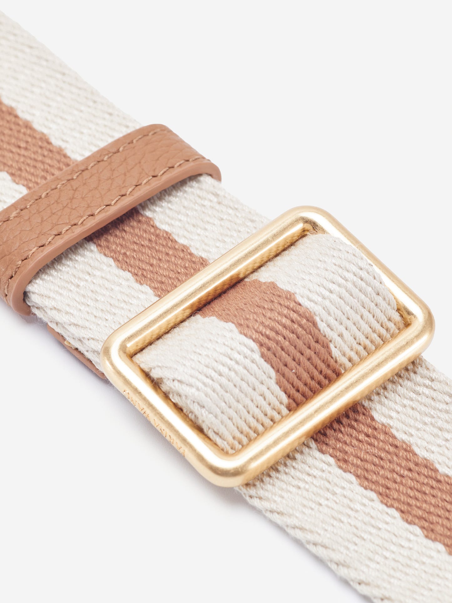 PW Webbing Strap in Cream Cappuccino | Parisa Wang