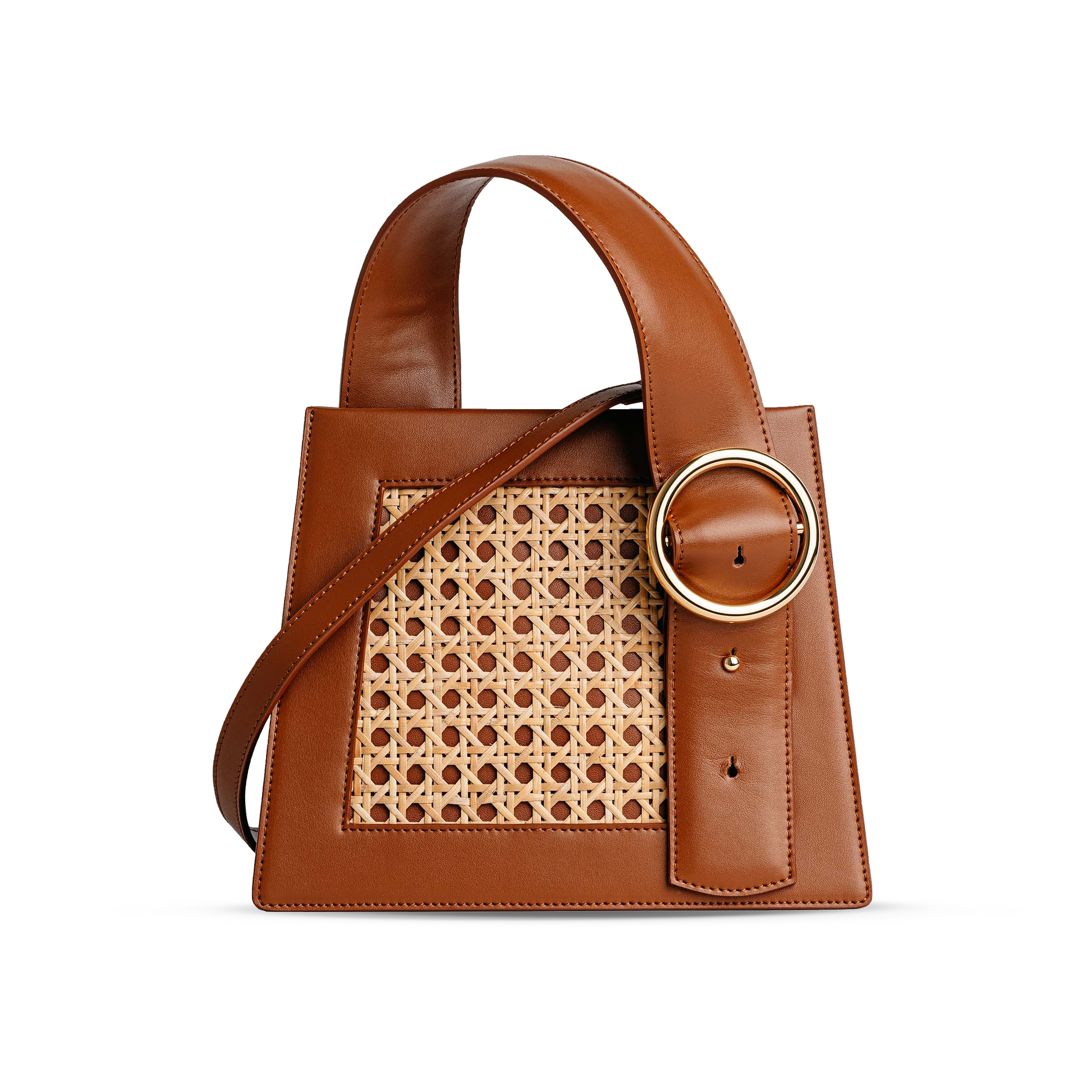 Enchanted Top Handle Bag in Bamboo Brown | Parisa Wang